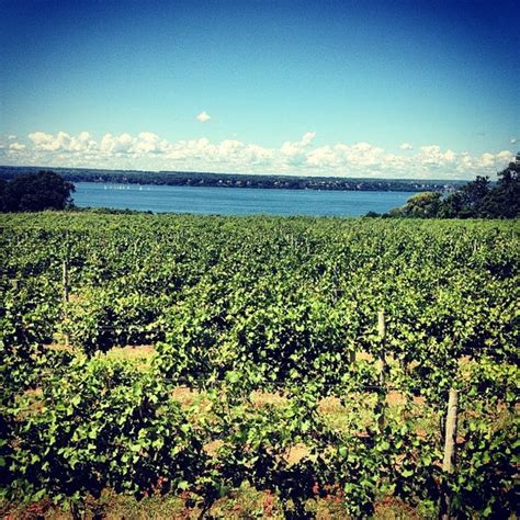 Ventosa Vineyards - 24 tips from 2126 visitors