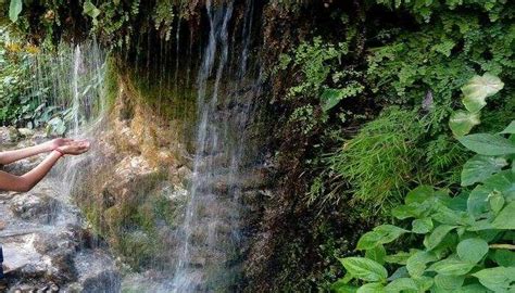 5 Waterfalls Near Dehradun One Must Visit For An Epic Vacay In 2023