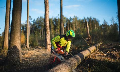 Chainsaw Safety Tips and Guidelines - Best of Machinery