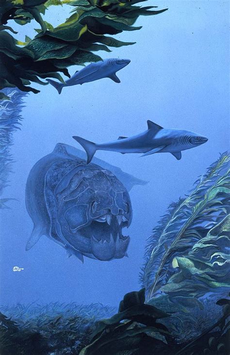 Dunkleosteus - April Lawton: Classification Règne Animalia Embranchement Chordata Sous-embr ...