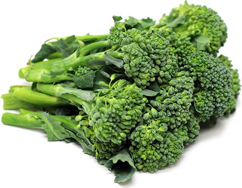 Baby Broccoli | Broccoli, Broccoli rabe, Colorful leaves