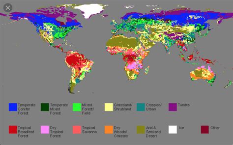 World Vegetation Zones Diagram | Quizlet