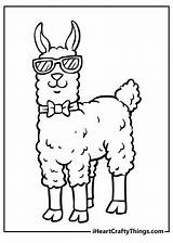 Free LLAMA Coloring Page & Book For Download Printable PDF  sketch template