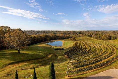 Spend a Romantic Weekend at These North Georgia Wineries | Official ...