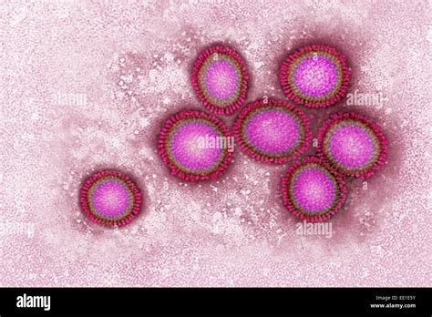 Flu virus microscope hi-res stock photography and images - Alamy