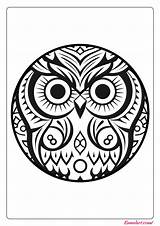 🦉 Free Printable Owl Coloring Pages  Kumalart sketch template