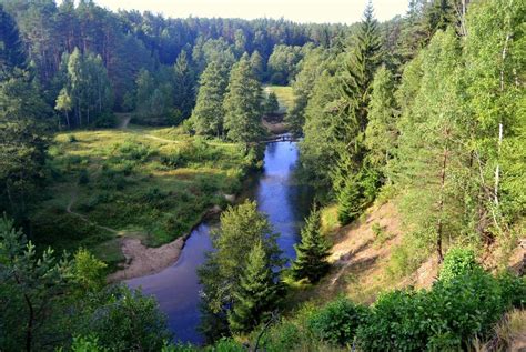 Lithuania Wildlife Guide: All About The Wildside Of Lithuania!