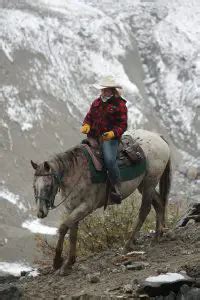 10 Western Horseback Riding Tips for Beginners