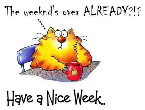 Have a nice week | Funny good morning images, Funny graphics, Happy thanksgiving quotes