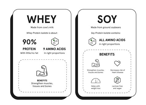 Whey vs Soy Protein Powder: The Difference – Soylent Canada