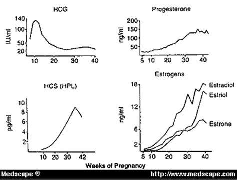 human placental lactogen - Hello USA