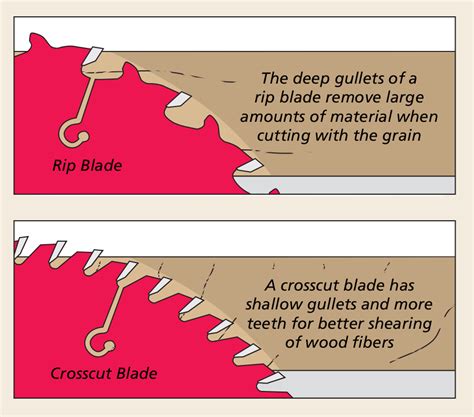 Selecting Table Saw Blades | Woodsmith