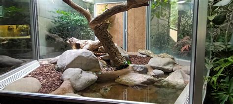 Burmese Python Habitat - ZooChat