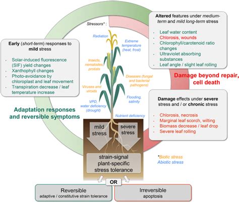 Biotic and abiotic stress factors and the plants' responses to stress... | Download Scientific ...