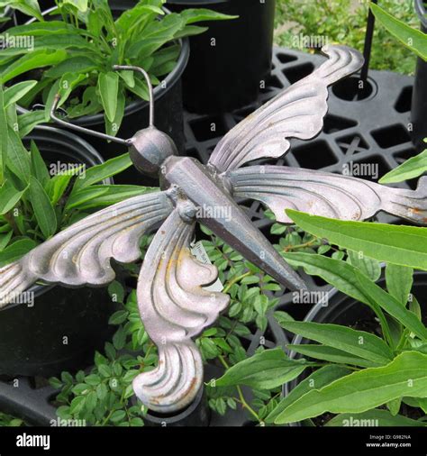 metal dragonfly garden ornament Stock Photo - Alamy