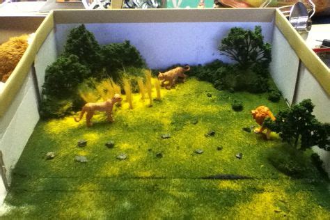 7 Cheetah project ideas | cheetah, diorama kids, habitats projects