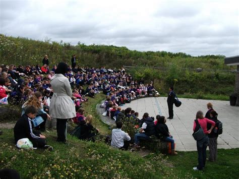 Ashford Oaks Primary School visit - Kent Heritage Trees Project