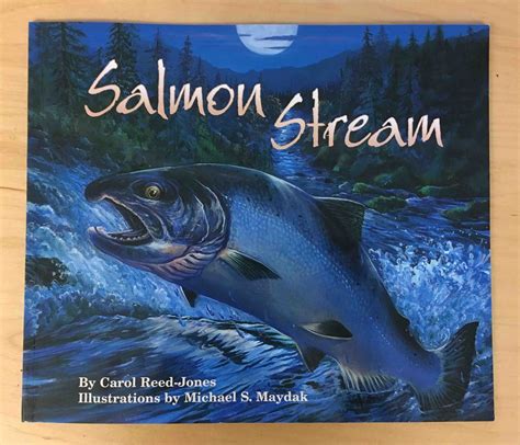 Salmon Stream: read and code (offline) - rubber boots and elf shoes