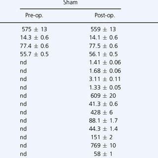 Morphological characteristics of the animals. | Download Table