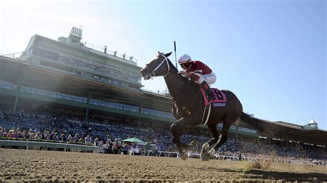 Stallion Profile: Tapit - And Down The Stretch They Come