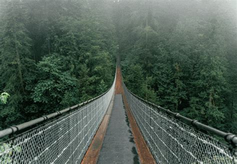 How to Get the Best Photos at Capilano Suspension Bridge - Photo Tips ...