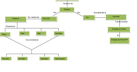 Cuaderno de Biología 3 Monsserrat Martínez: Mapa conceptual de la fotosíntesis