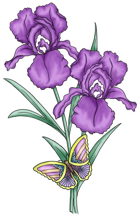 Iris Flower Drawing at GetDrawings | Free download