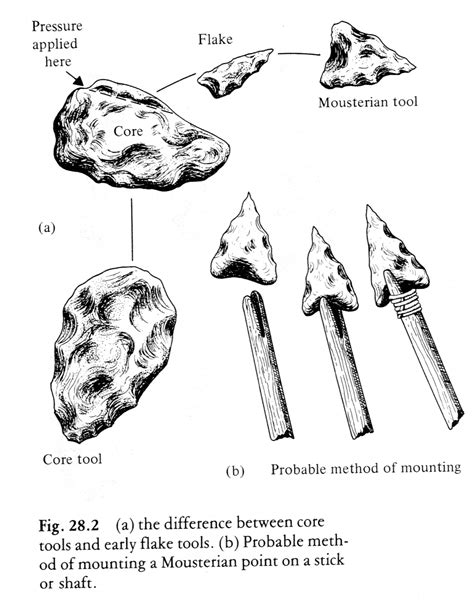 Paleolithic Tools