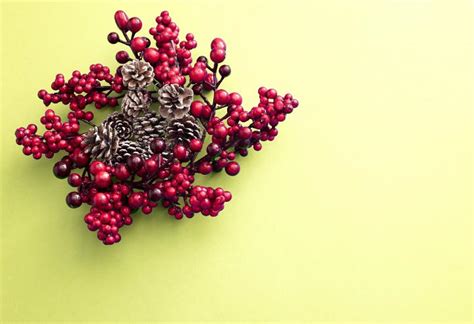 Free Image of Red Christmas wreath, cones | Freebie.Photography