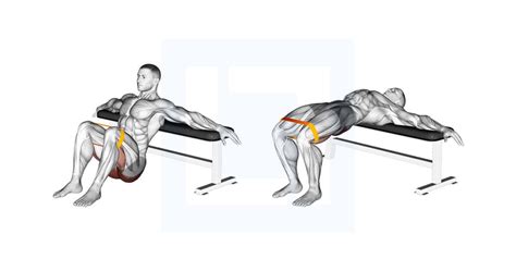 Resistance Band Hip Thrusts - Guide, Benefits, and Form