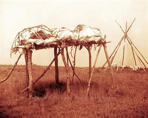 Dakota Sioux Native American burial custom; two trees with several ...