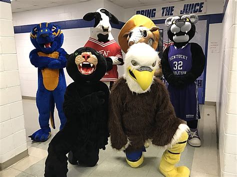 Apollo High School Mascot Basketball