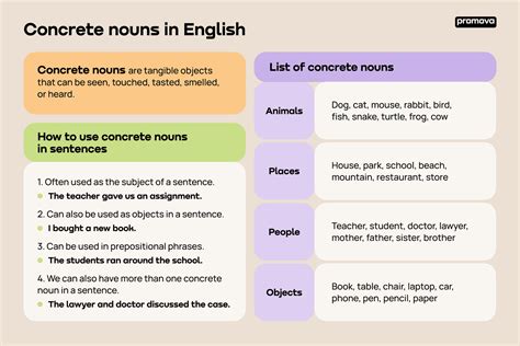 Concrete Noun | Promova Grammar