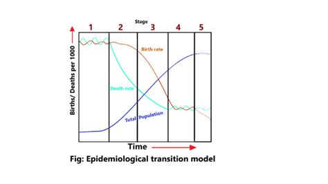 What is the epidemiological transition model? - Science Query