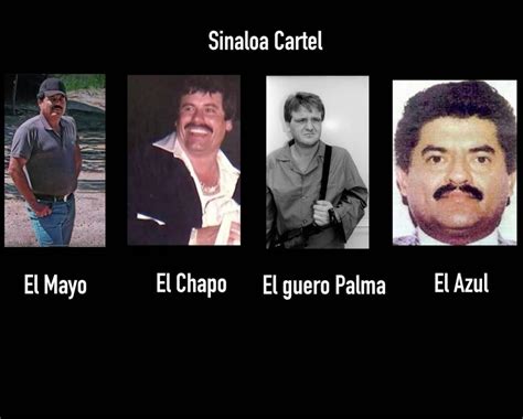 The original founders of the Sinaloa cartel | Scrolller