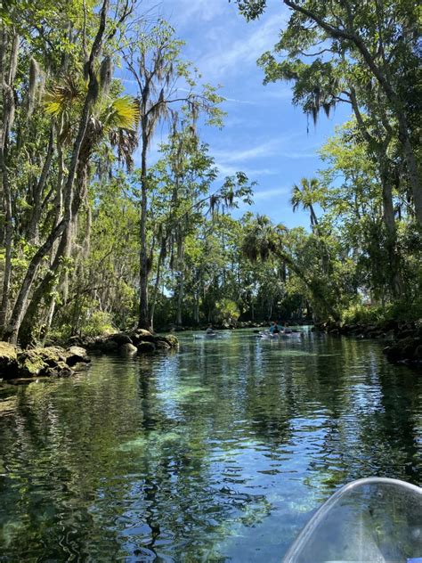 Three Sisters Springs Kayaking on Crystal River - Amber Likes