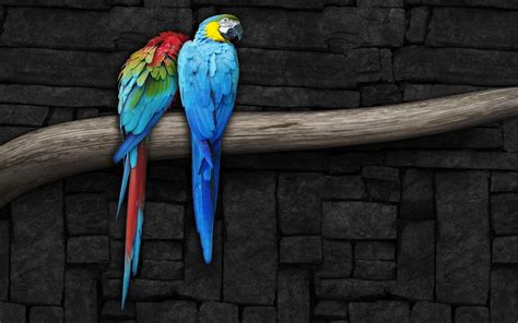 Colorful Parrot Wallpapers - Wallpaper Cave