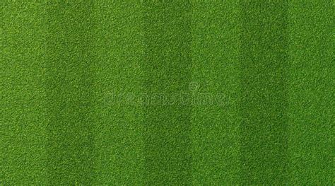 Green Grass Texture for Sport Background. Detailed Pattern of Green Soccer Field or Football ...