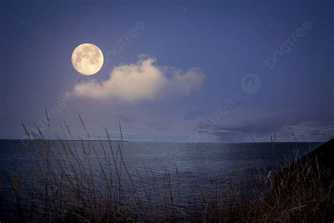 Background Bulan Purnama Di Atas Laut Dengan Bintang Berkilauan Di ...