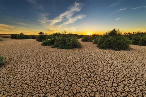 What is Drought, its types, causes and effects - Natural Energy Hub