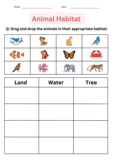 printable matching activity animal habitats worksheets for grade 1, 2, 3 | Made By Teachers