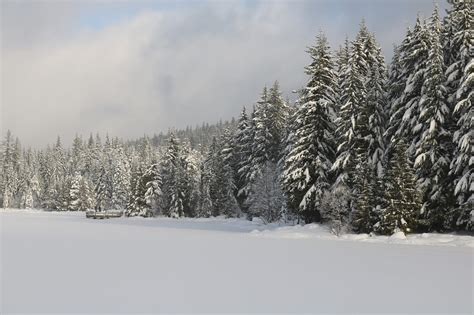 Download free photo of Trillium lake,oregon lake,frozen lake,winter ...