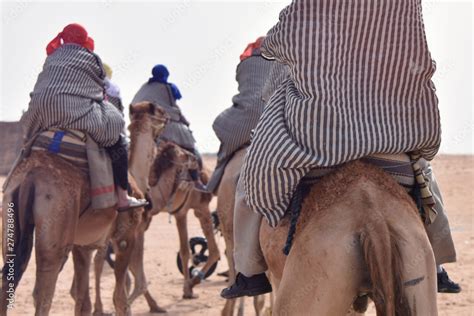 Camels caravan going in sahara desert in Tunisia, Africa. Tourists ride ...