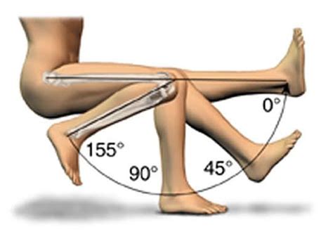 Pin on Post Knee Surgery Exercises