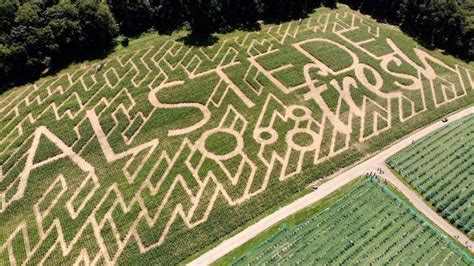 Corn mazes near me: Best NJ corn mazes to visit this fall