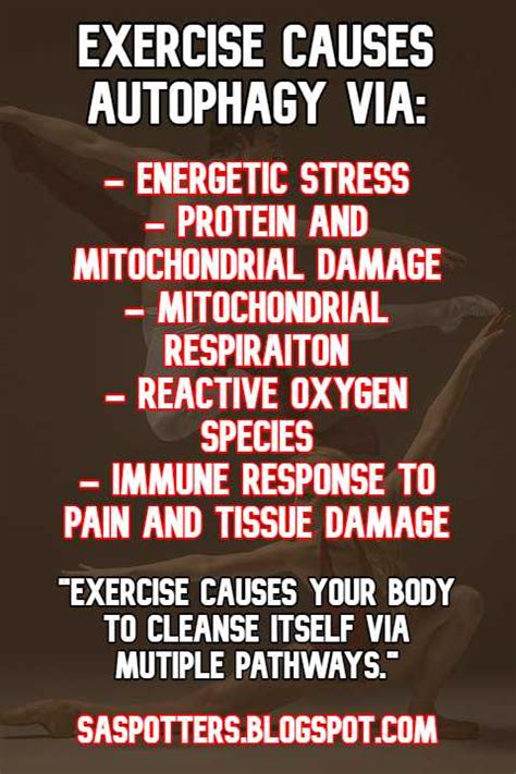 SA Spotters: Exercise for autophagy