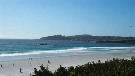 10 Beautiful Laguna Beach Tide Pools You Should Explore With Kids