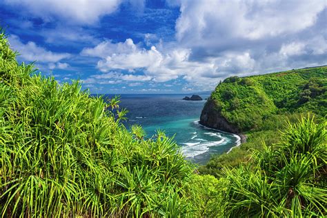 Pololu Valley And Beach Through Hala Photograph by Russ Bishop - Fine Art America