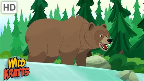 Mama Grizz Wild Kratts Wiki Fandom | atelier-yuwa.ciao.jp