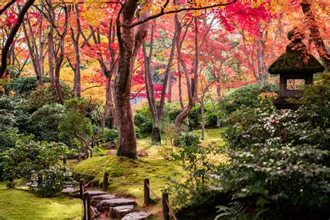 Free stock photo of arashiyama, autumn color, autumn leaves